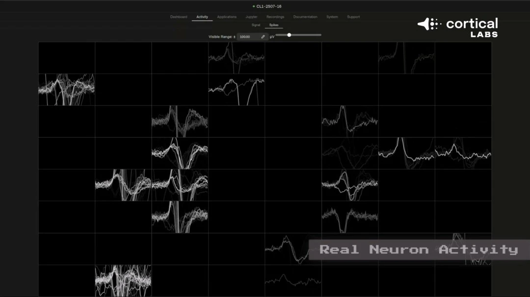 爱德华兹与,浓眉均砍,森林狼轻松,开云体育官网,KaiYun,SPORTS,开云体育中国官网,KaiYun体育平台,开云体育服务