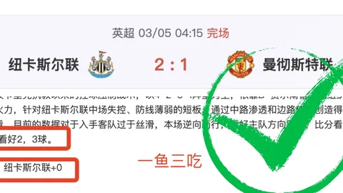 谷愛凌奮戰奧運會受挫，坦承身心達到極限承受邊界