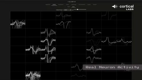 [图]爱德华兹与浓眉均砍23+11，森林狼轻松取胜